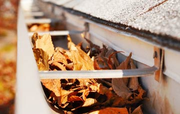 South Earlswood gutter cleaning companies