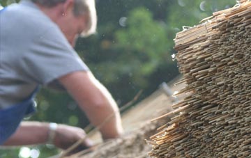 professional South Earlswood thatchers